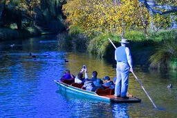 Avon Punting