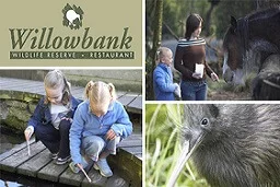 Willowbank Resort